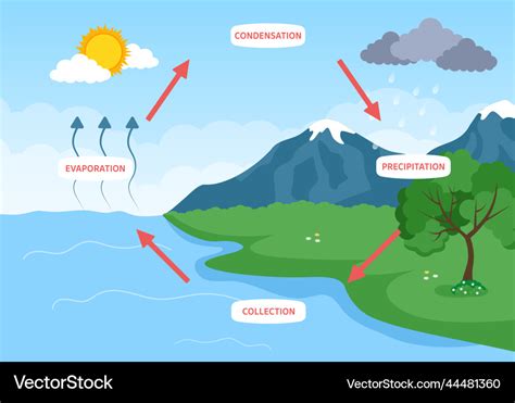 Water cycle of evaporation condensation Royalty Free Vector