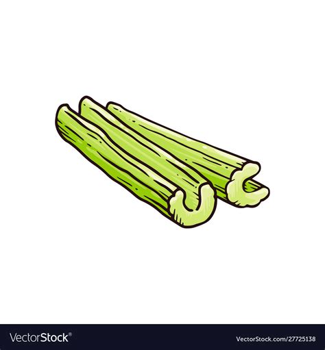 Green celery stalk cut up in half - hand drawn Vector Image