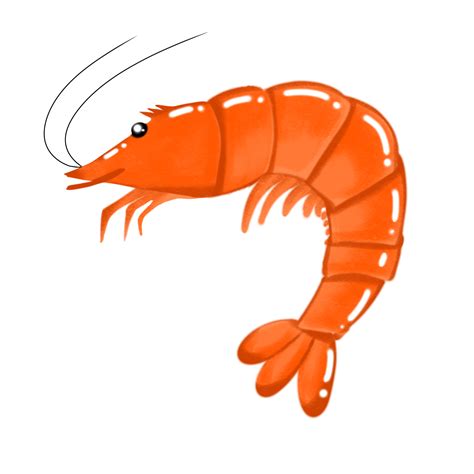 shrimp png clipart 27738778 PNG