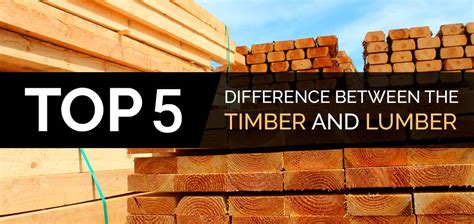 Top 5 Difference Between The Timber And Lumber - A Comparative Guide