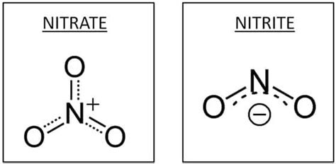 Are Nitrates and Nitrites in Foods Harmful?