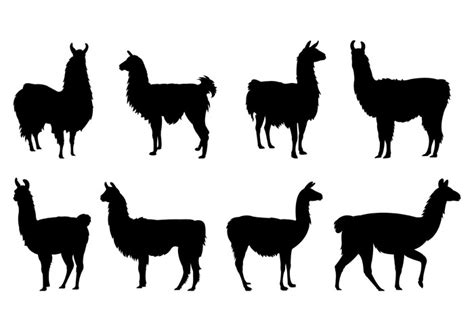 llama silhouette clipart - Clipground