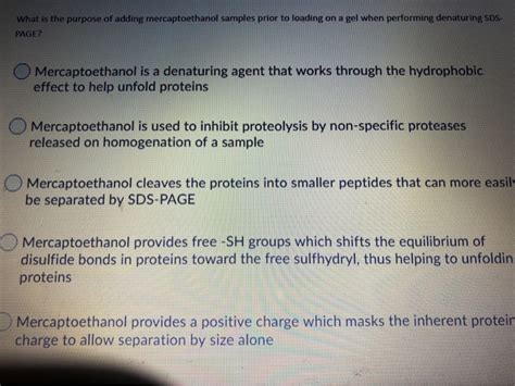 Solved What is the purpose of adding mercaptoethanol samples | Chegg.com