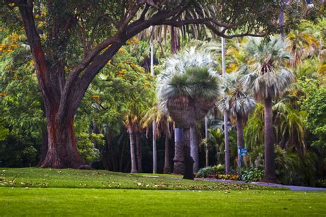 Royal Botanic Gardens Melbourne, melbourne, Australia - Top Attractions ...