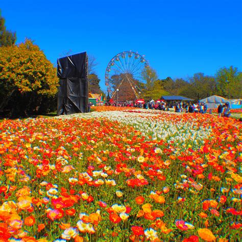 Floriade - All You Need to Know BEFORE You Go (2024)