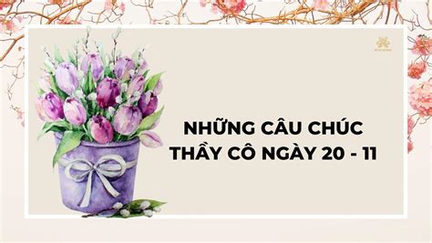 Những câu chúc 20 tháng 11 cho thầy cô ý nghĩa và hay nhất