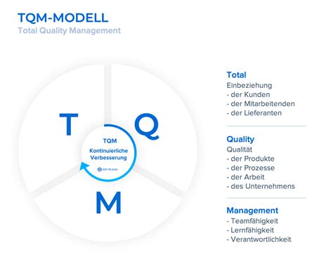 What is TQM? Definition, explanation, 8 principles and tenets