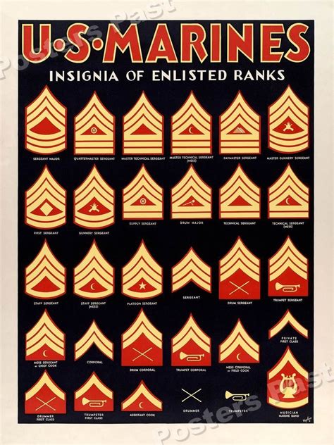 1940s Insignia of Enlisted Ranks WWII Marine Corps War Poster - 20x28 ...