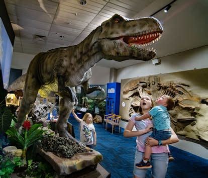 The National Dinosaur Museum | Visit the Dinosaurs - Canberra, Australia