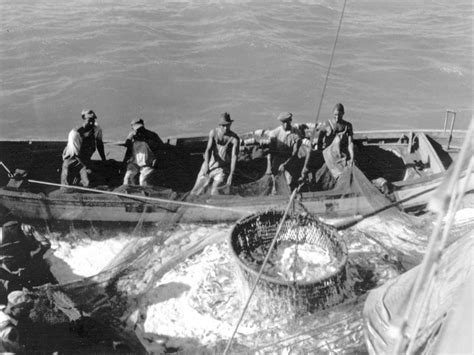 Menhaden Fishing Days | David Cecelski