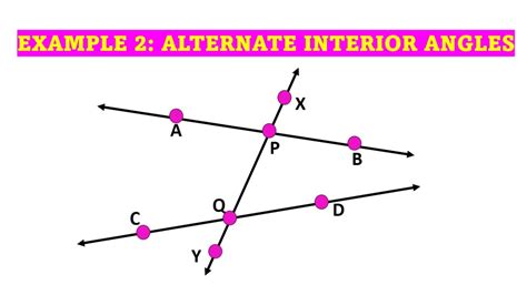 Alternate Interior Angles (Theorem and Examples) - Owlcation