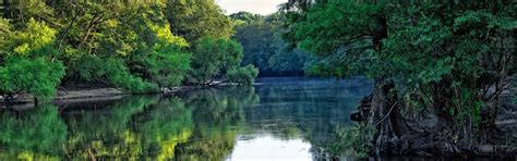 Edisto River