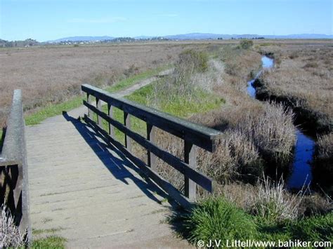 Bay Area Hiker: Santa Venetia Marsh