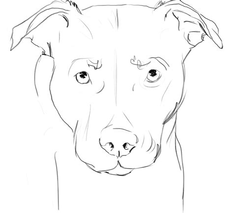 Labrador Dog Drawing at GetDrawings | Free download