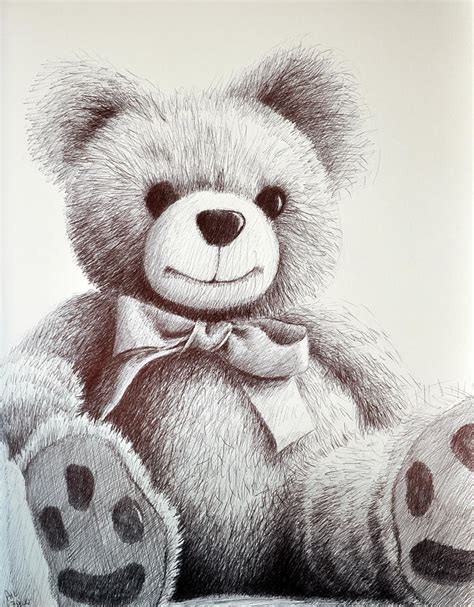 Realistic Teddy Bear Drawing