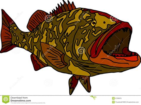 Download Grouper clipart for free - Designlooter 2020 👨‍🎨