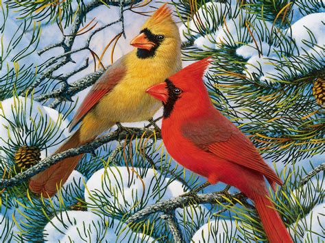 Cardinals in Winter Desktop Wallpaper - WallpaperSafari