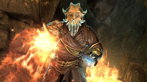 The Elders Scroll V :Skyrim: The Elder Scrolls V: Skyrim - Dragonborn