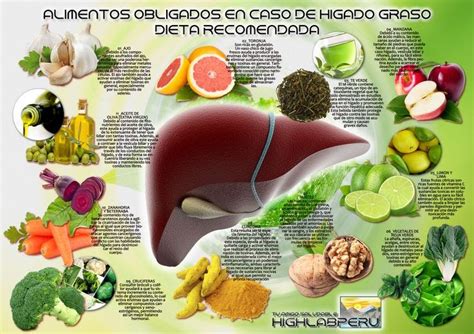 Nutricionista estudiar: Higado graso dieta recomendada