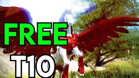 BDO - FREE T10 HORSE | Black Desert Highlights - YouTube