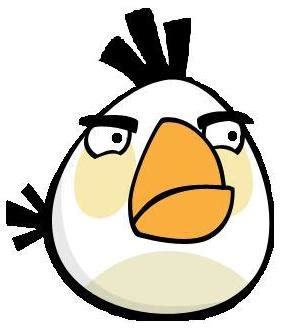 Image - White bird.jpg - Angry Birds Wiki