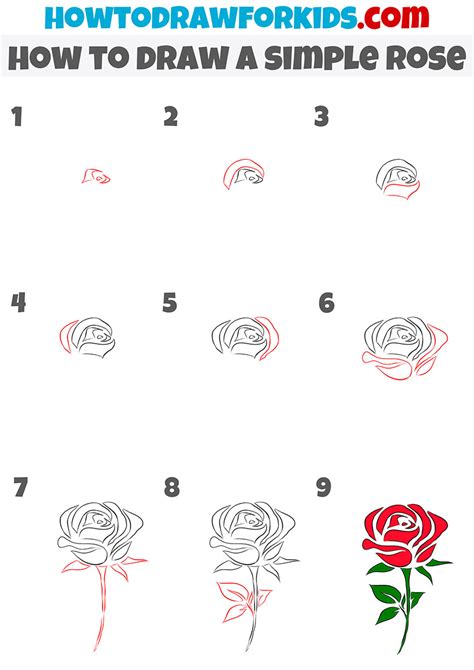 Roses Drawings Step By Step