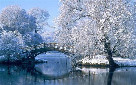 Winter Scenery Wallpapers - Top Free Winter Scenery Backgrounds ...