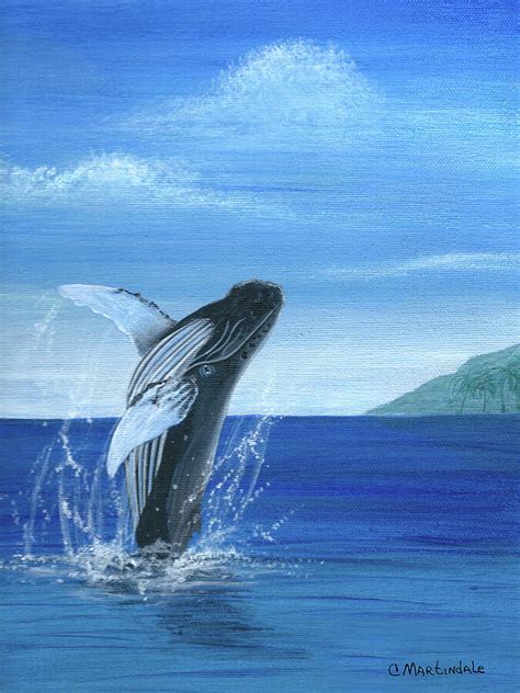 Humpback Whale Breaching Drawing