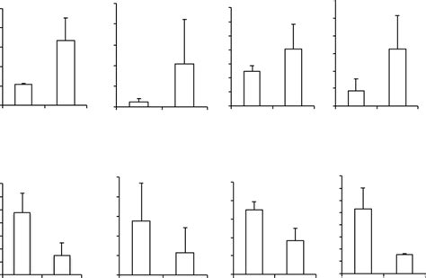 Gene expression of osteocytic markers in cell fractions enzymatically ...