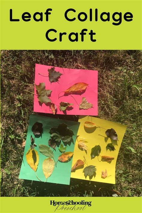 Leaf Collage Craft - Homeschooling Preschool