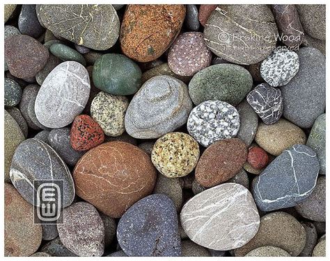 Rialto Beach Stones | Science and nature, Background for photography ...