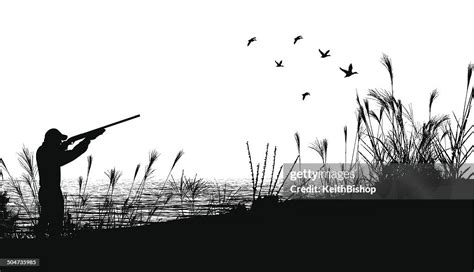 Duck Hunting Background High-Res Vector Graphic - Getty Images