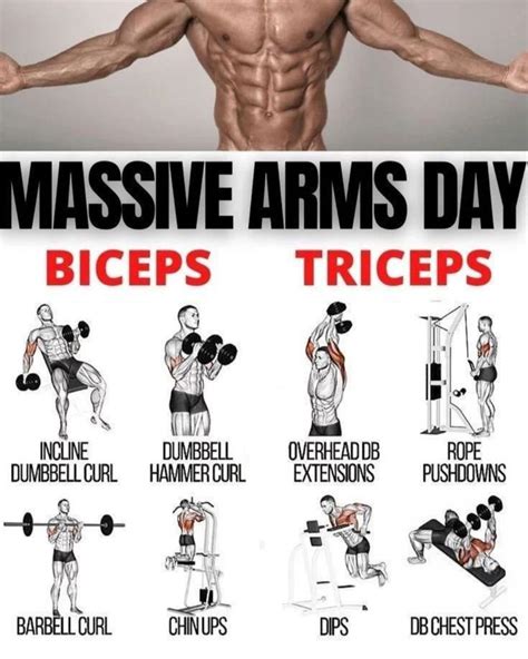 Arms Exercise At Gym | Bicep and tricep workout, Triceps workout ...