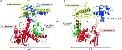 Crystal Structures of Human Topoisomerase I in Covalent and Noncovalent ...