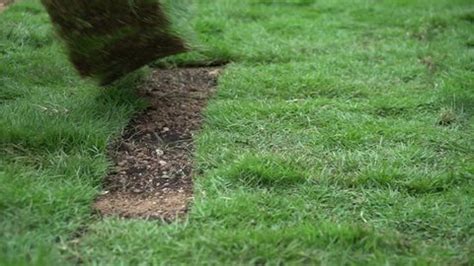 Grass Turf Makinggardening Environmentturf Surface On Stock Footage ...