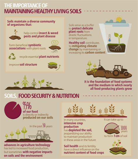 This is why soil health is crucial for feeding the planet | World ...