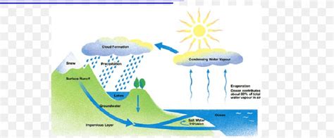 Water Cycle Fifth Grade Condensation Process, PNG, 893x371px, Water ...