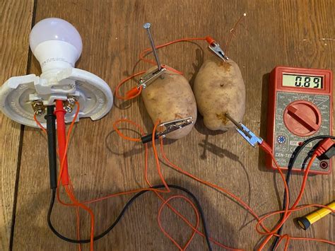 Busted: No, a boiled potato won’t power a lightbulb – The Prepared