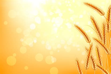 Wheat vector illustration. 10929320 Vector Art at Vecteezy