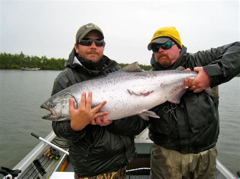 Rincon Fishing: King Salmon Fishing Season Alaska