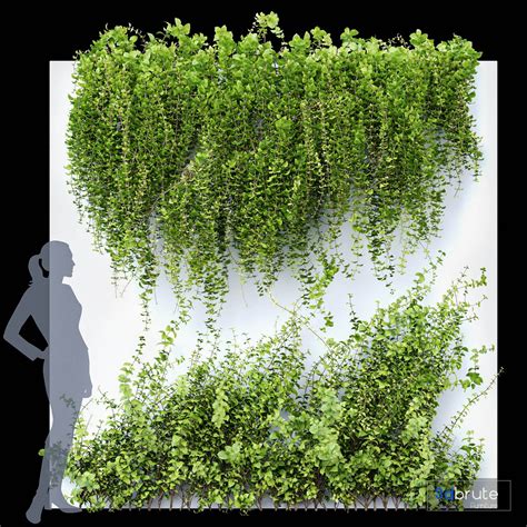 Wall Artificial Hanging Plants-01 3d model Buy Download 3dbrute