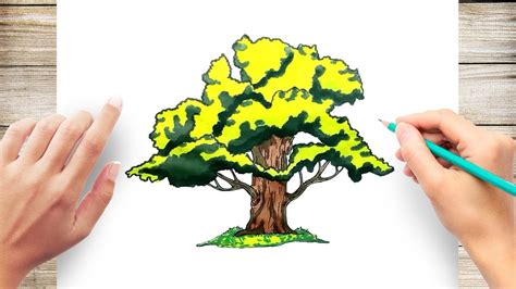 Top 130+ oak tree drawing best - seven.edu.vn