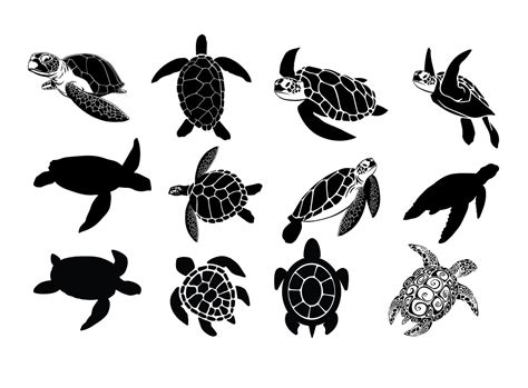 TURTLE SVG, Sea Turtle Svg, Sea Turtles Clipart, Turtle Svg Files for ...