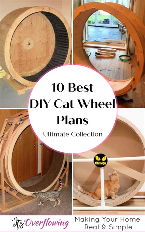 10 Best DIY Cat Wheel Plans (Make a Cat Exercise Wheel)