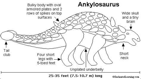 Ankylosaurus - Dinosaur - Enchanted Learning Software