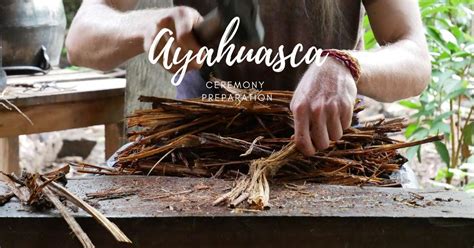 Ayahuasca Ceremony Preparation: Everything You Need To Know