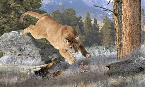 Wildlife Art - Mountain Lion by Dale Kunkel Art