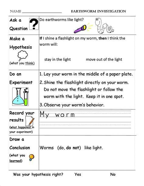 Scientific Method | First Grade Shenanigans