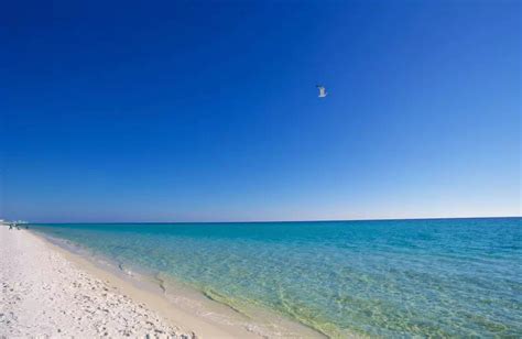 Henderson Beach State Park, FL: The Ultimate Beach Getaway