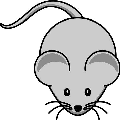 Mouse Clipart transparent PNG - StickPNG